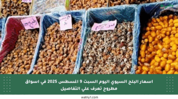 أسعار البلح السيوي اليوم السبت 9 أغسطس 2025 في أسواق مطروح تعرف على التفاصيل